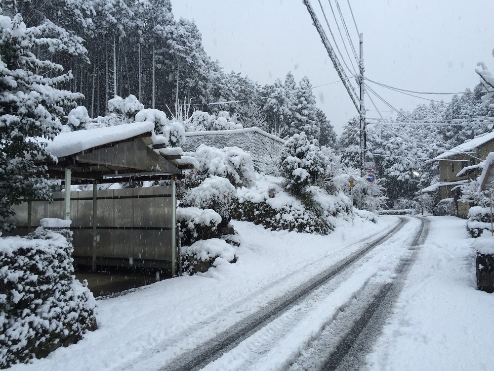 京都 雪の記録あれこれ 京都テナントプラス